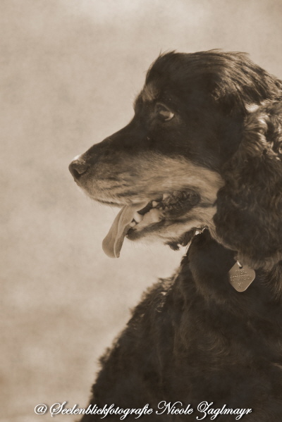 Elisabeth und Gudrun