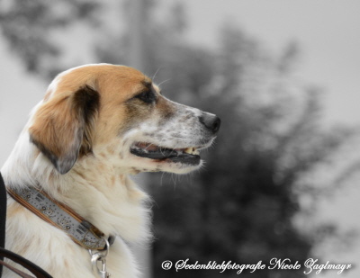 Elisabeth und Gudrun