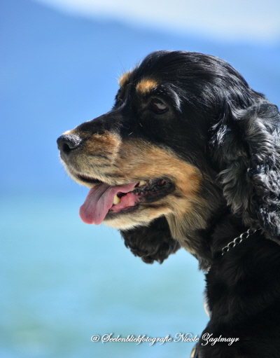 Elisabeth und Gudrun